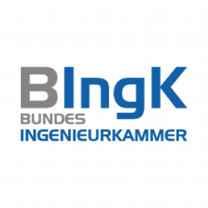 BIngK_Logo-1-300x300.png